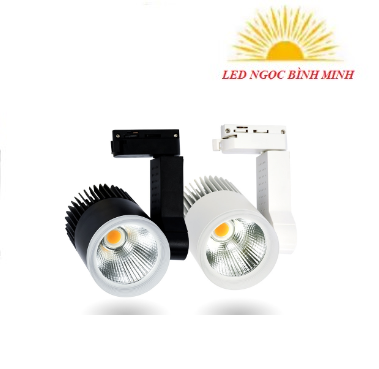 Đèn led rọi ray Beryl