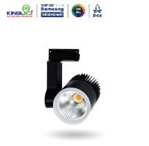 Đèn led rọi ray Beryl